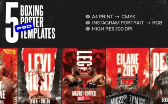 5 Boxing Flyer Templates