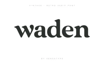 Vintage - Retro Serif Font