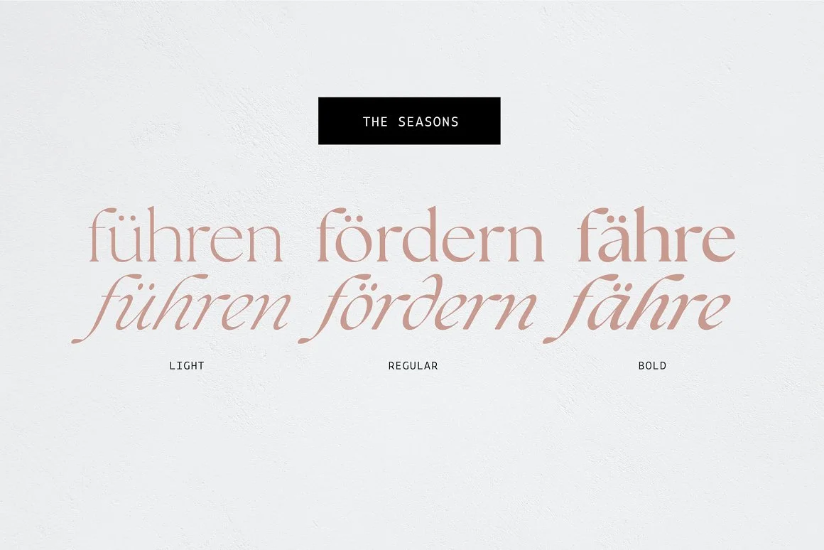 The Seasons Serif Font Family 2