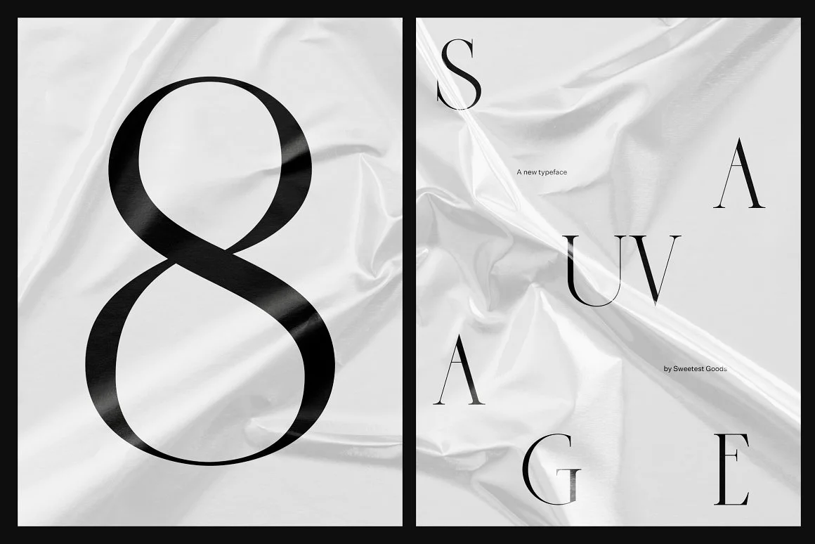 Sauvage - Elegant Font 3
