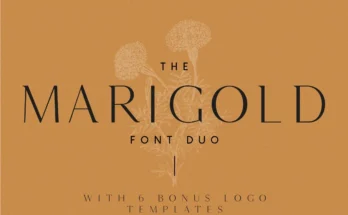 Marigold - Font duo and logo set 1