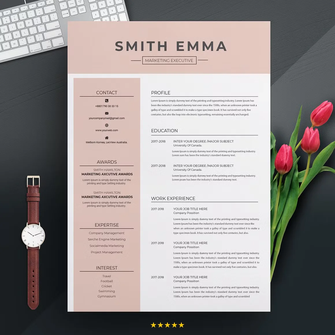 Modern Professional Resume Template 2