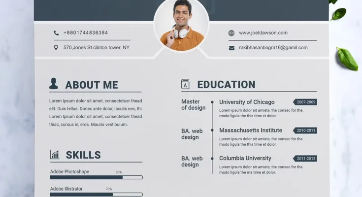 Modern Resume Template CV Template