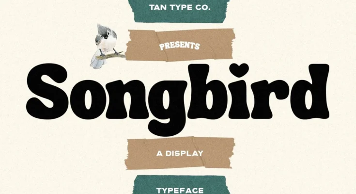 TAN - SONGBIRD