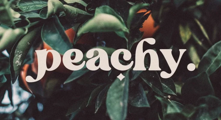 Blanch Sage - Retro Font