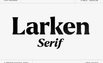 Larken - A Beautiful Serif