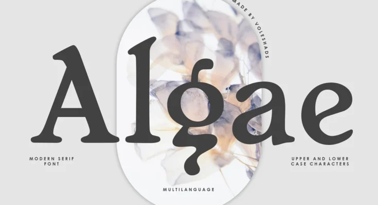 Algae Modern Serif Font