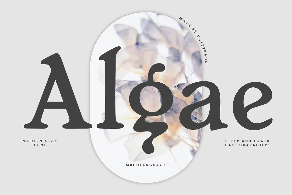 Algae Modern Serif Font: Sleek & Stylish Typeface