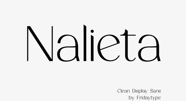 Nalieta - Clean Display Sans