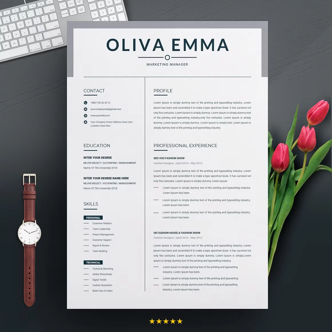 Professional Resume CV 2