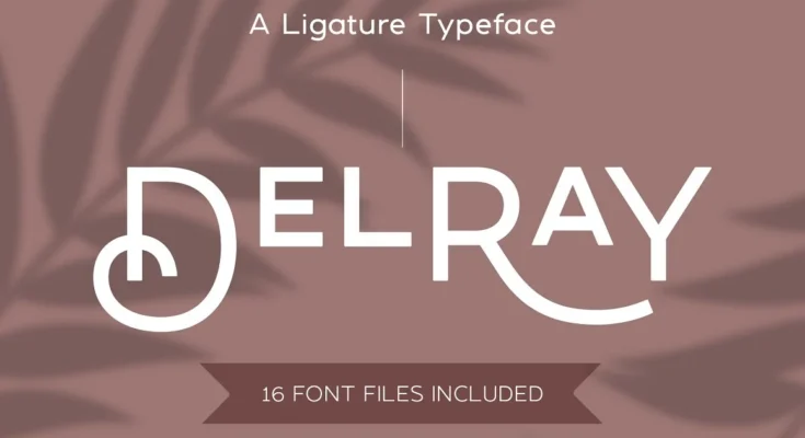 DelRay - Sans Serif Font