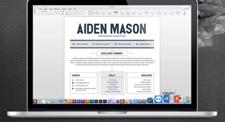 2 Pages Creative Resume Template