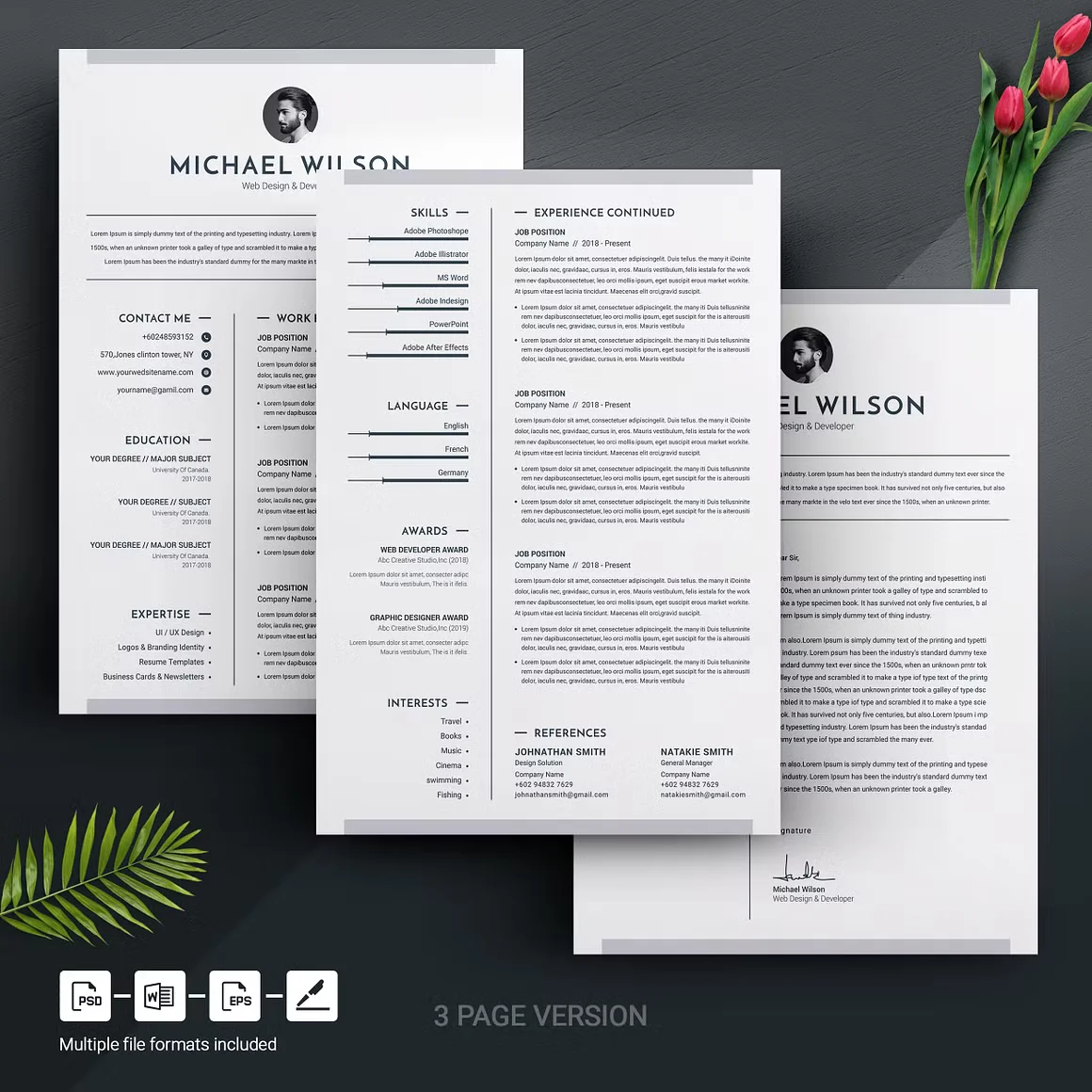 3 Pages Clean CV Template MS Word 2
