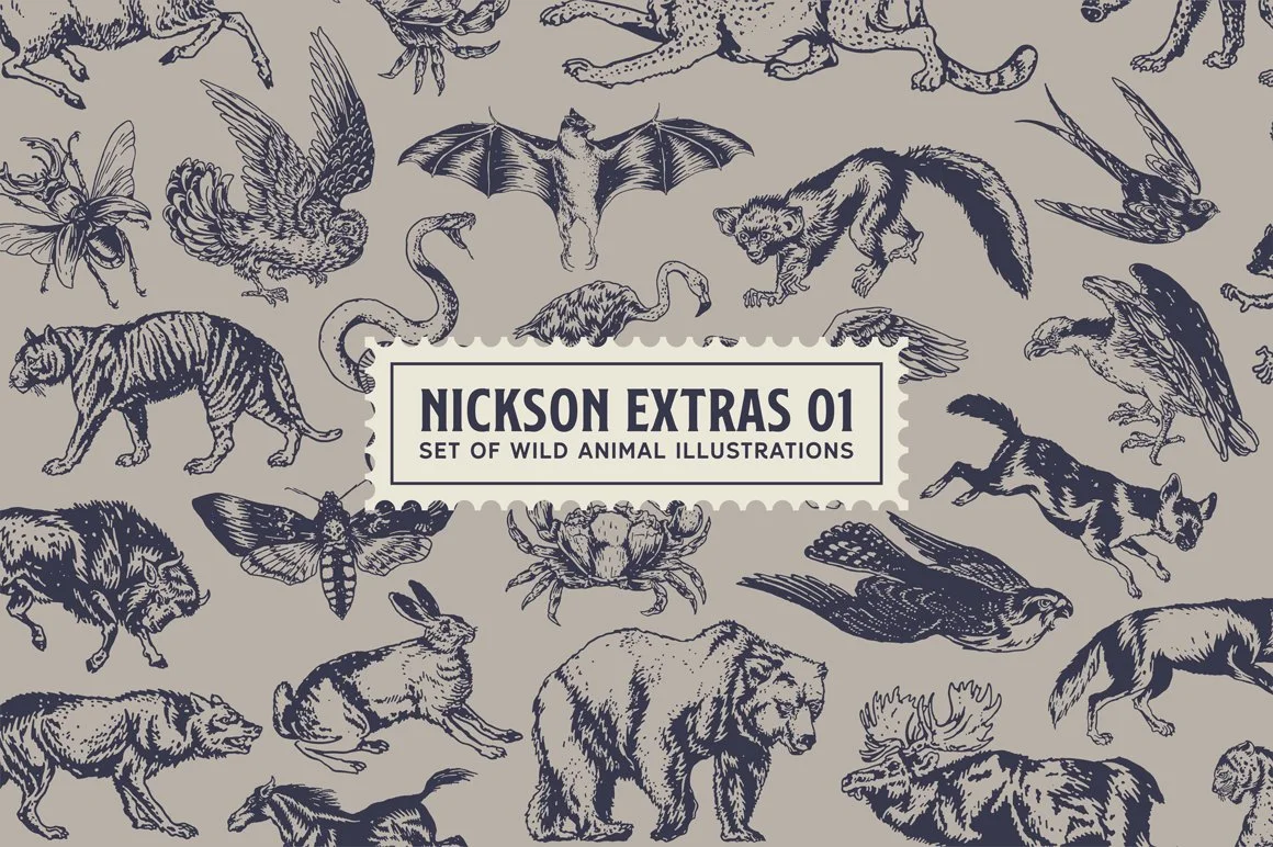 S&S Nickson Font Bundle 2