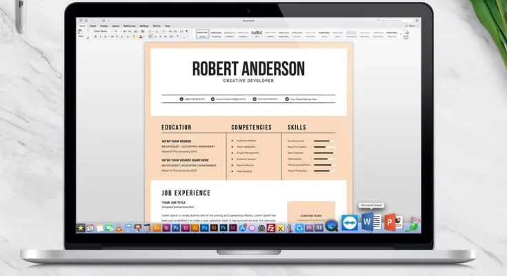 Modern & Creative Resume Template