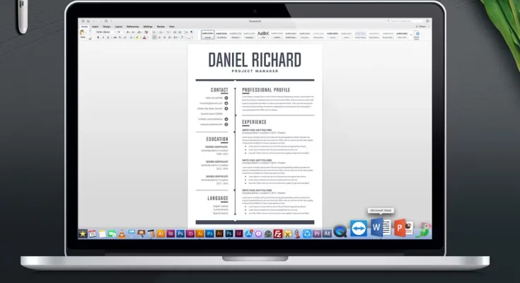 Clean CV Template