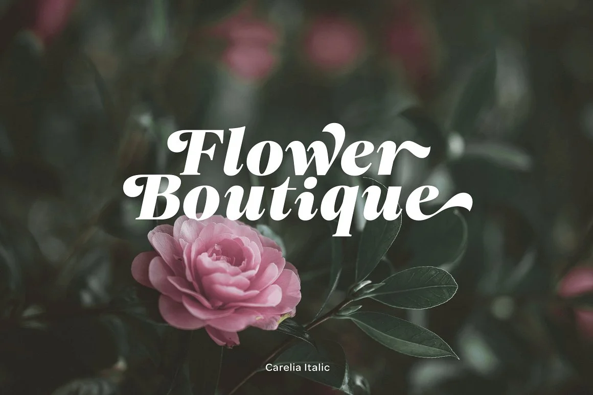 Carelia Font Family 2