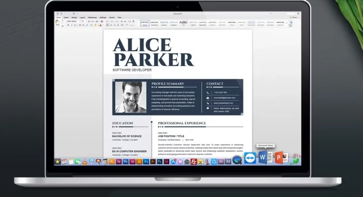 MS Word CV Resume Template