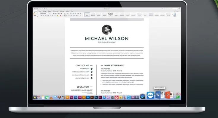 3 Pages Clean CV Template MS Word