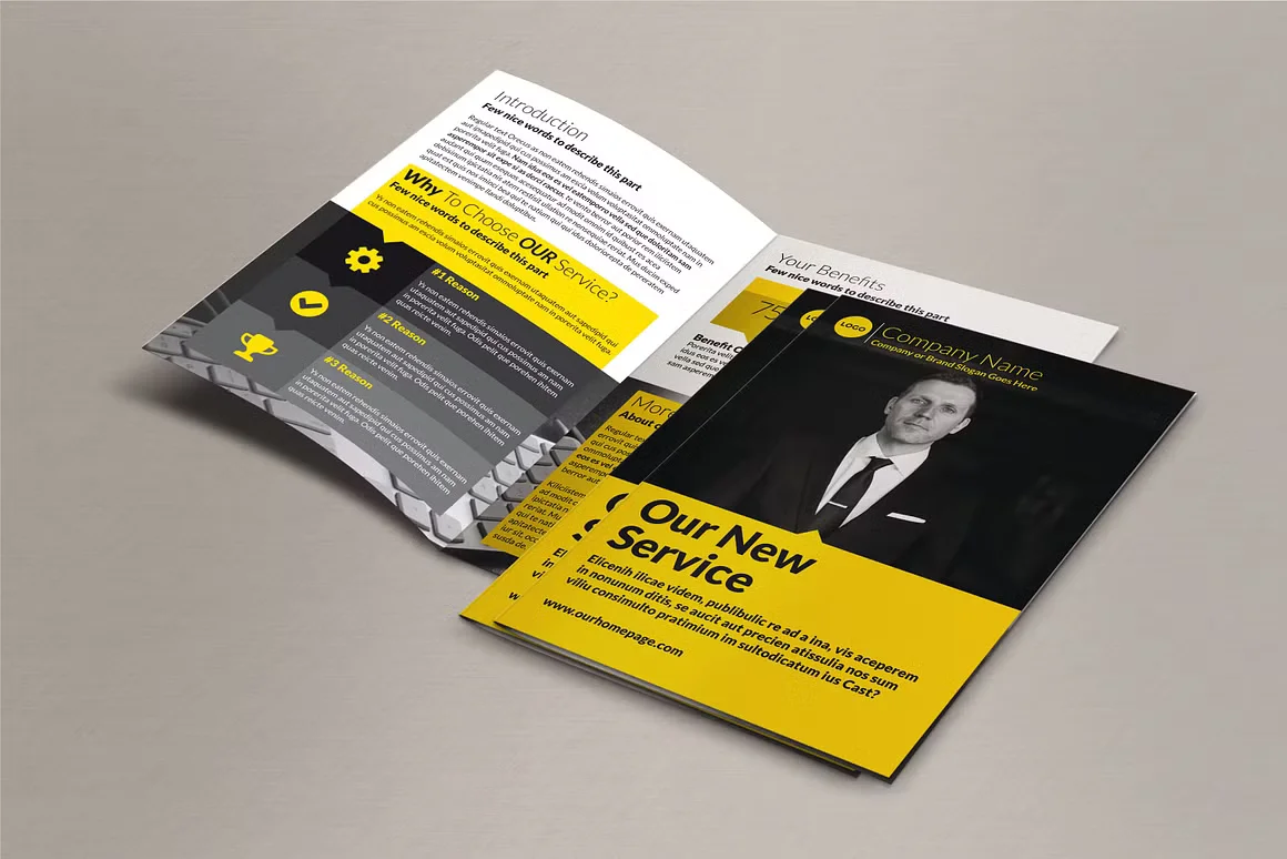 Business Bi-Fold Brochure 2