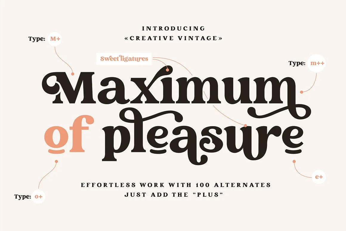 Creative Vintage Font Duo: Timeless Elegance 2