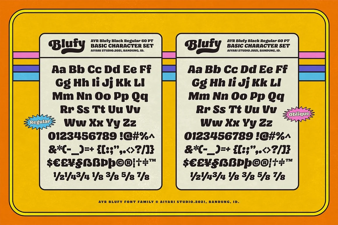 Blufy Font Family – Stylish & Versatile Typeface 2