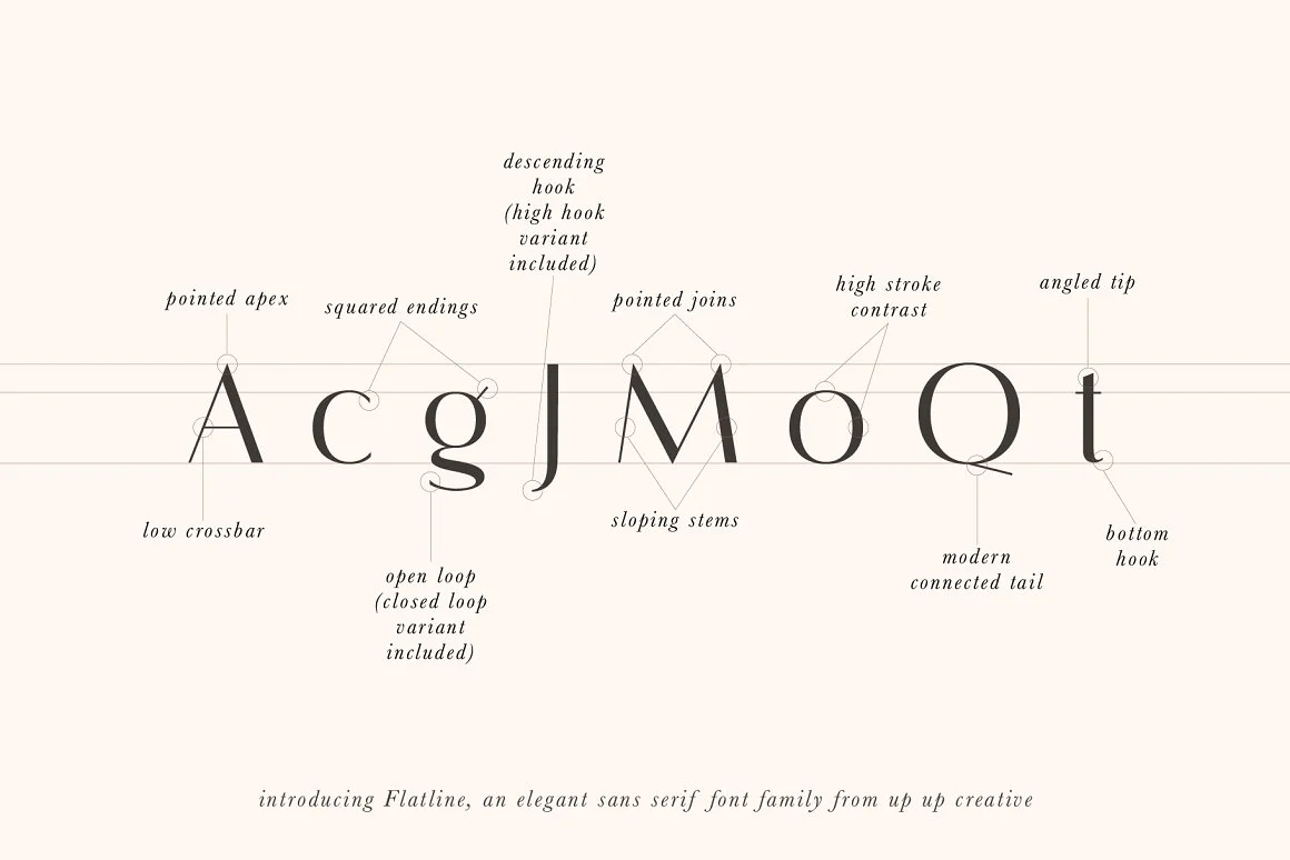 Flatline Sans Complete - 16 fonts 3