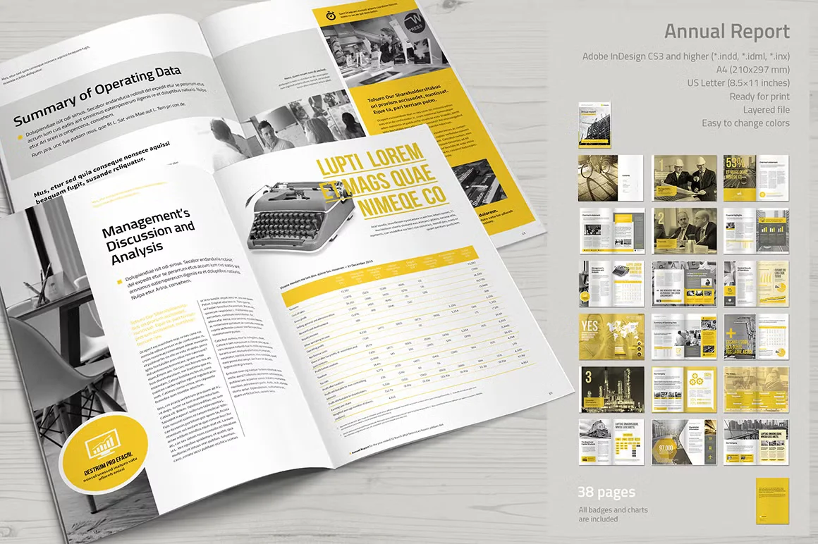 Annual Report Brochure Template 3