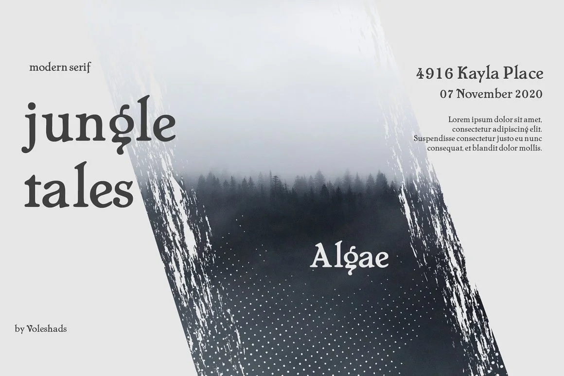 Algae Modern Serif Font 3