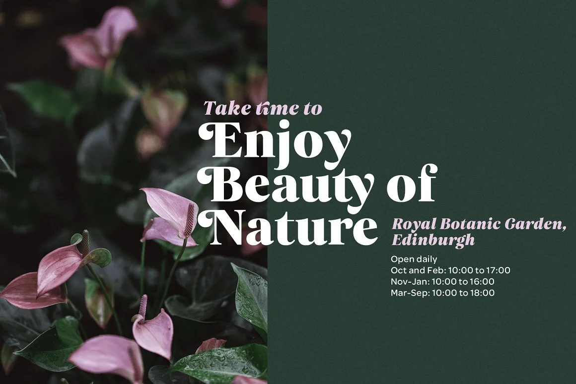 Carelia Font Family 3