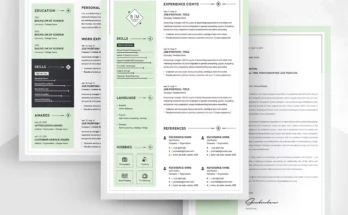 Resume Template 3 Page CV Template