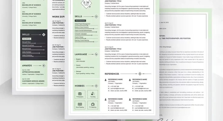 Resume Template 3 Page CV Template