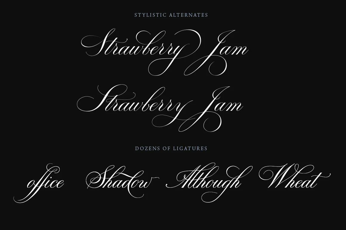 Bodega Script Elegant Wedding Font 3