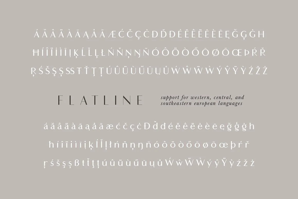 Flatline Sans Complete - 16 fonts 4