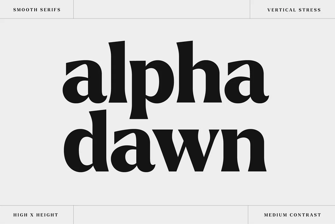 Larken - A Beautiful Serif 5