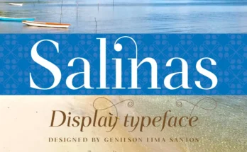 Salinas Font