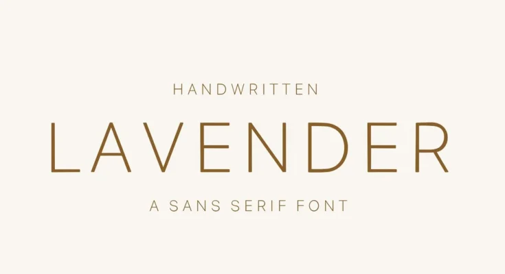 Lavender sans serif font.