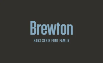 Brewton — Vintage Sans Display Font