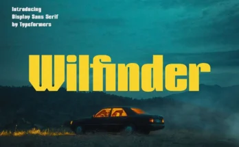 Wilfinder -Sans Serif Font