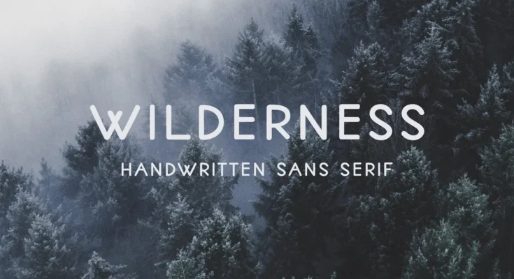 Wilderness Sans Serif Font