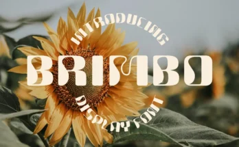 Brimbo - Modern Display Font