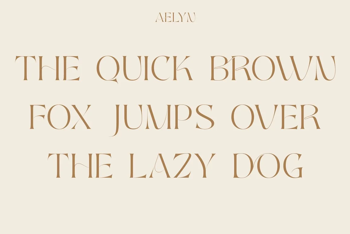 Aelyn - Ligature Serif Font 3