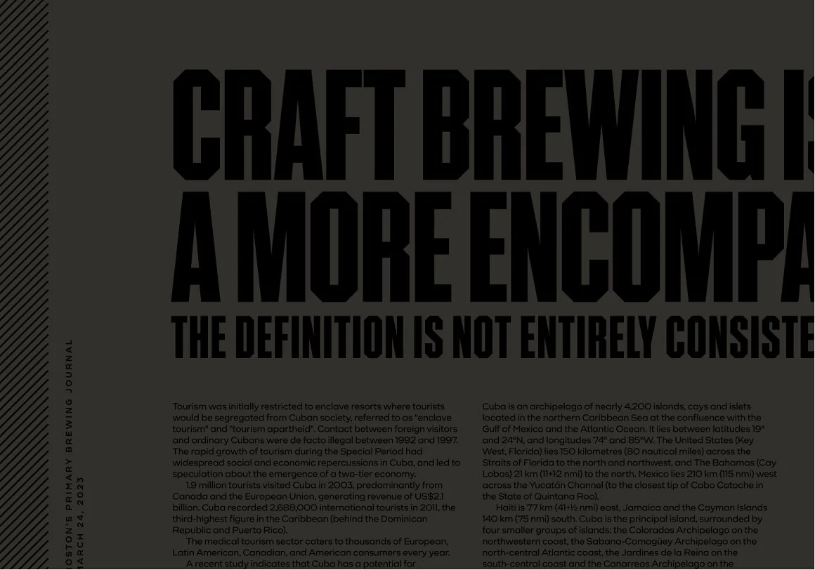 Brewton — Vintage Sans Display Font 3