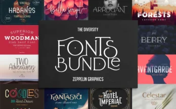 Diversity Fonts Bundle