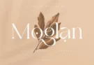 Moglan Serif Typeface