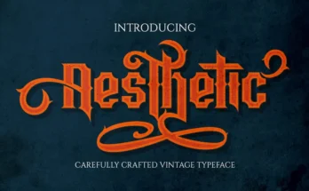 Aesthetic - Vintage Font