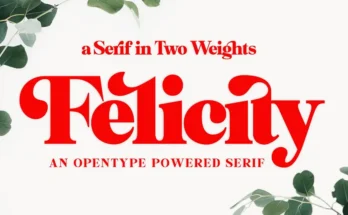 Felicity Serif Typeface
