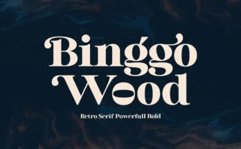 Binggo Wood Display Font