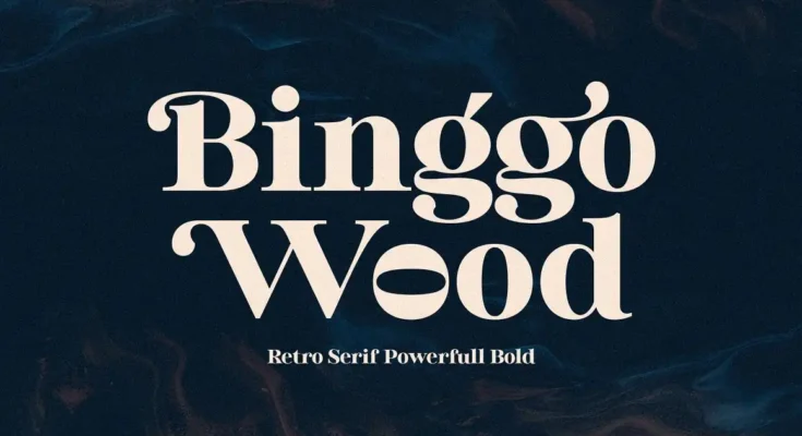 Binggo Wood Display Font