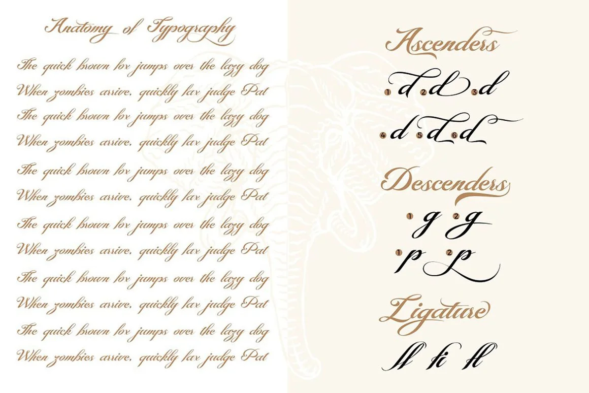Montante Decorative Script 3